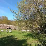 La Calabaza Del Peregrino O Faramello